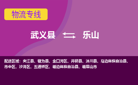 武义到乐山物流公司-武义县至乐山货运公司，用实力给您带来物流的便捷