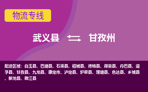 武义到甘孜州物流公司-武义县至甘孜州货运公司，用实力给您带来物流的便捷