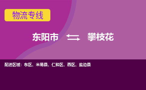 东阳到攀枝花物流公司-东阳市至攀枝花货运公司，用实力给您带来物流的便捷