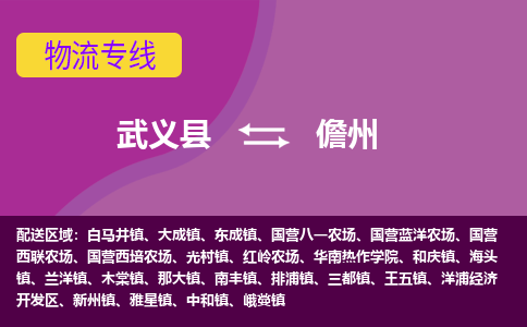 武义到儋州物流公司-武义县至儋州货运公司，用实力给您带来物流的便捷