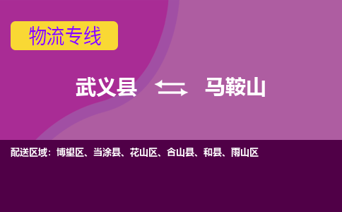 武义到马鞍山物流公司-武义县至马鞍山货运公司，用实力给您带来物流的便捷