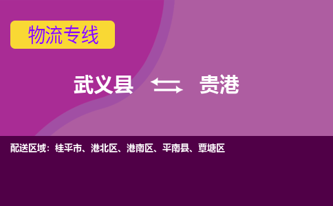 武义到贵港物流公司-武义县至贵港货运公司，用实力给您带来物流的便捷